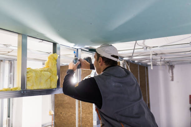 Best Radiant Barrier Insulation  in Syracuse, NY